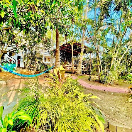 Hotel El Eden Escondido Puerto Escondido  Exterior foto